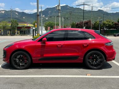 Macan