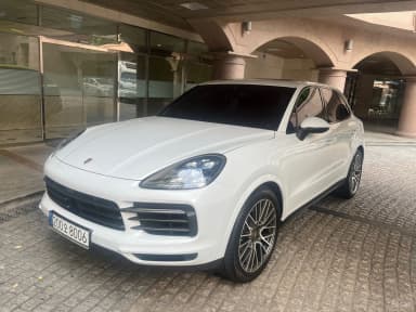Cayenne (PO536)