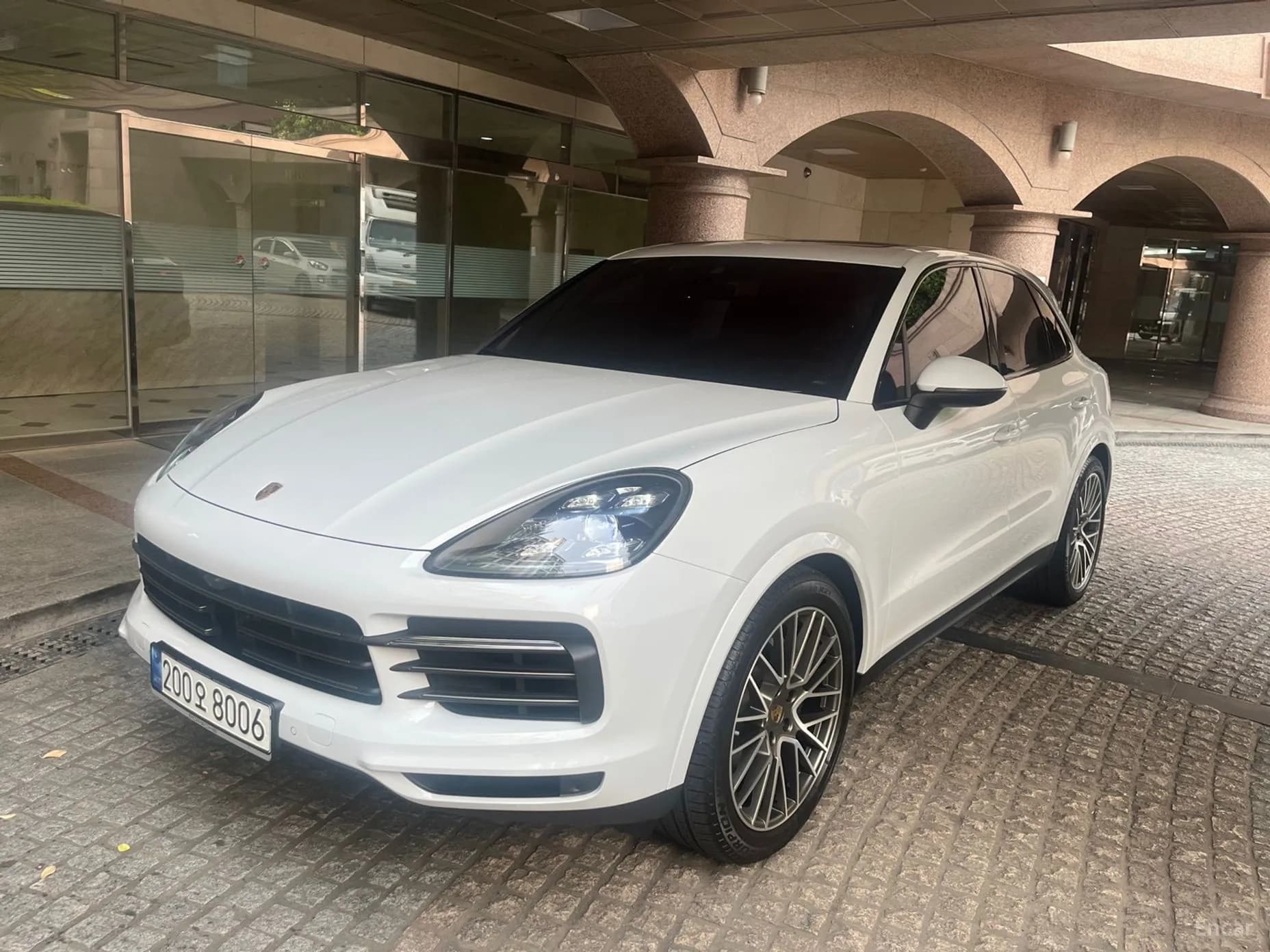 Cayenne (PO536)