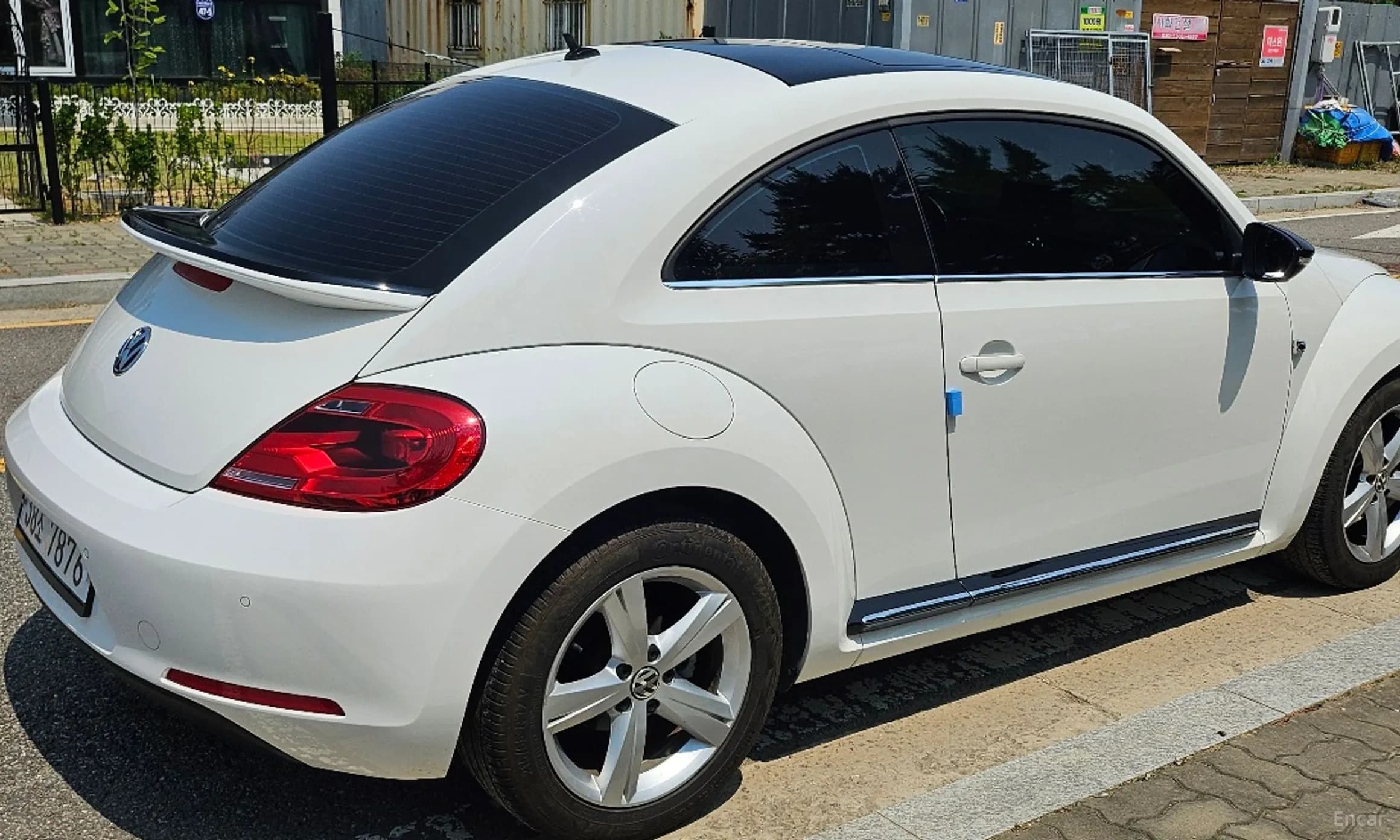 The Beetle