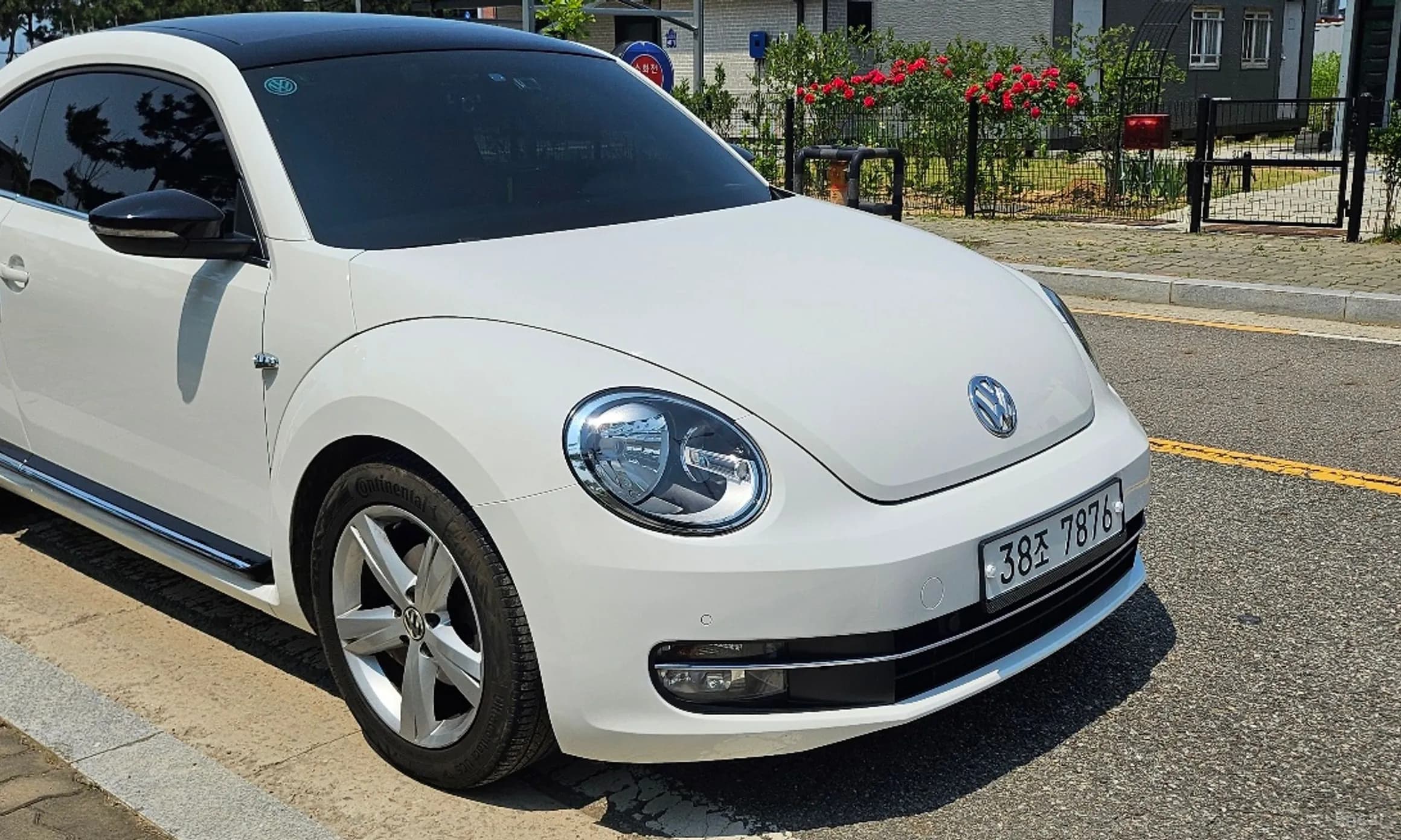 The Beetle