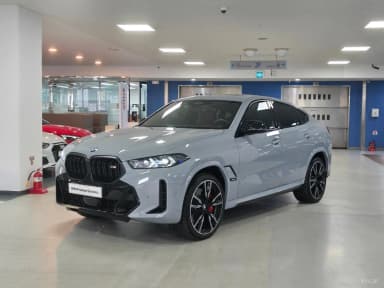 X6 (G06)