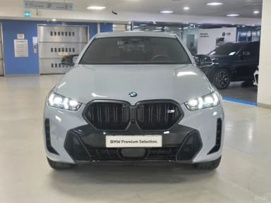 X6 (G06)