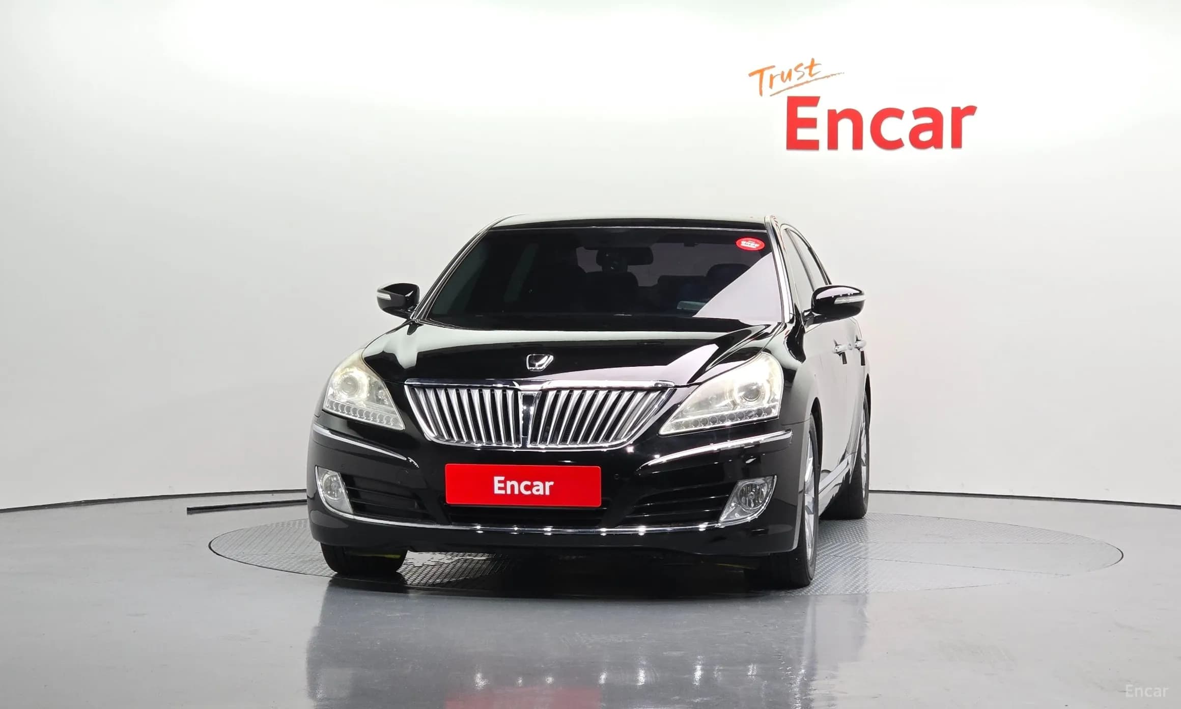 Equus (new)