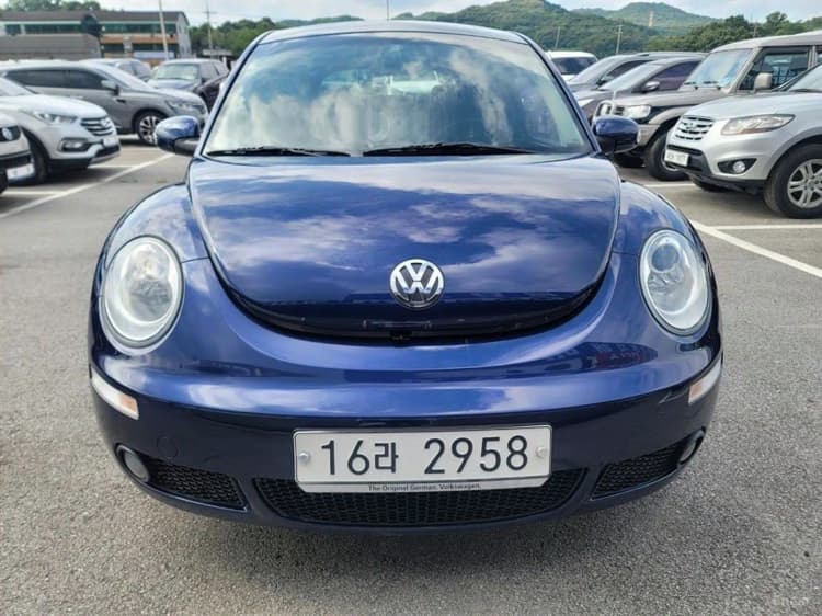 New Beetle