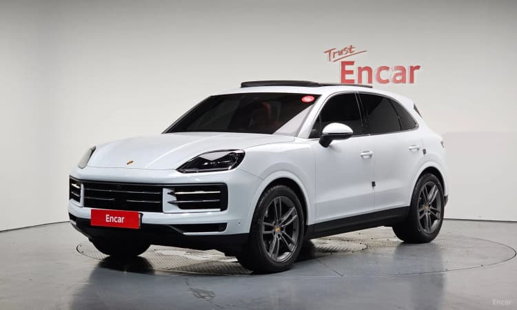 Cayenne (PO536)
