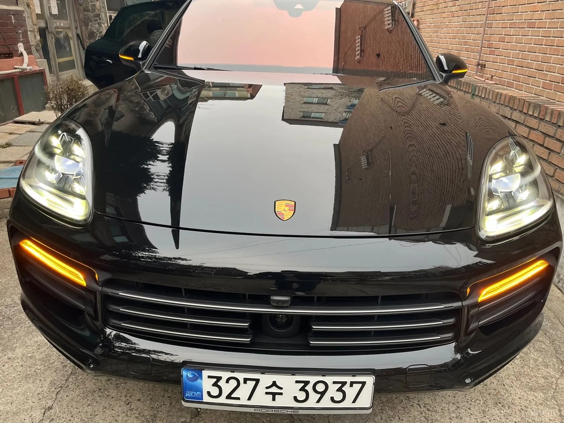 Cayenne (PO536)