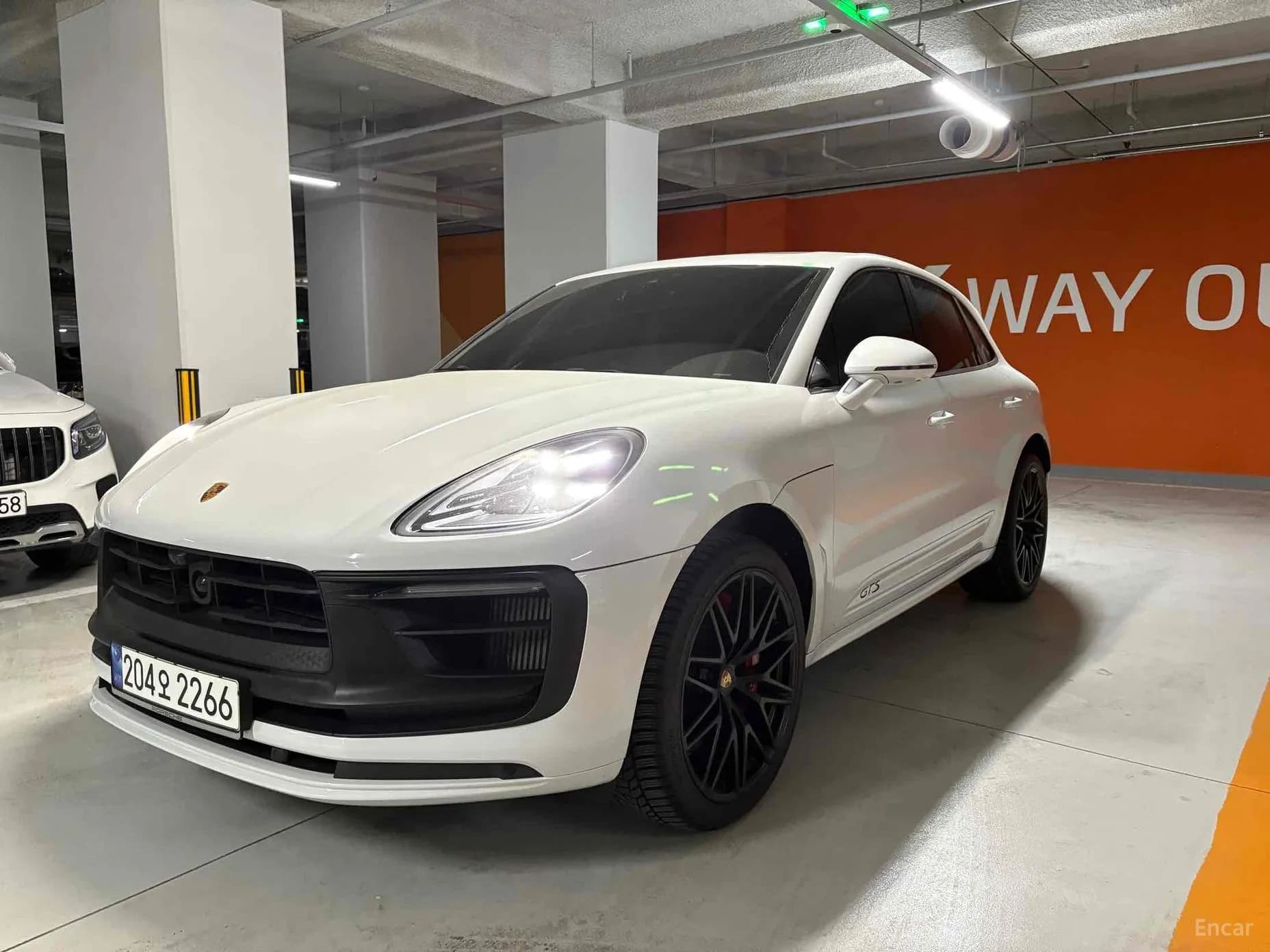 Macan