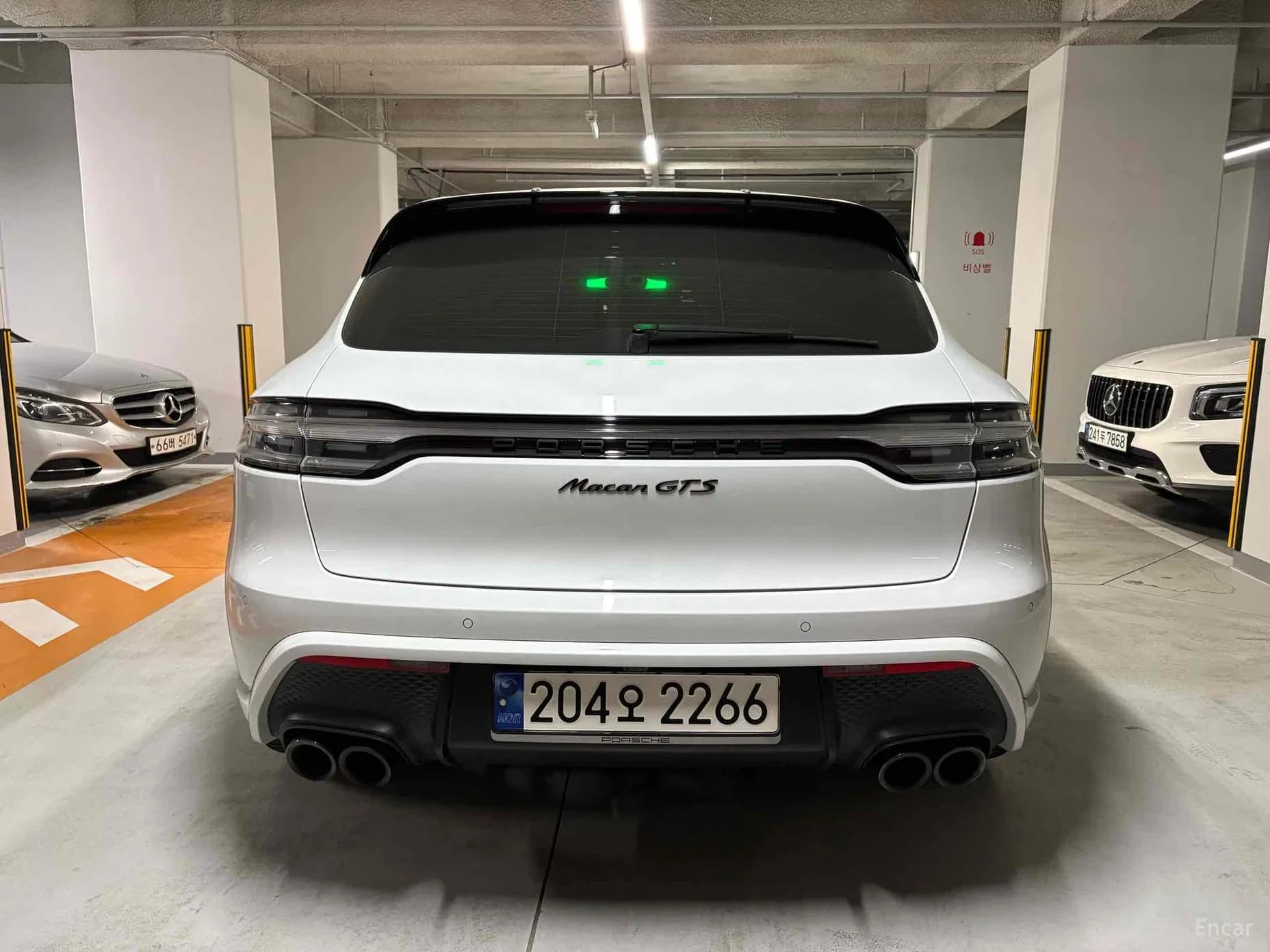 Macan