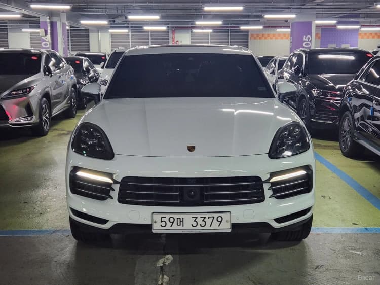Cayenne (PO536)