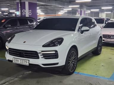 Cayenne (PO536)