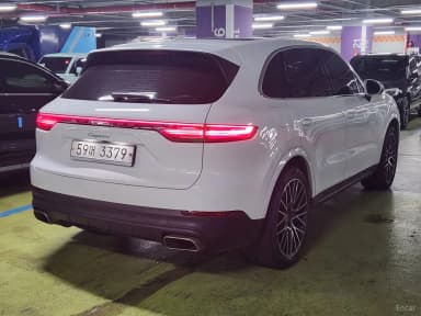 Cayenne (PO536)