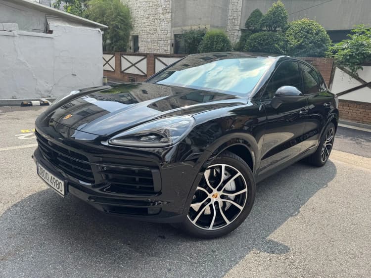 Cayenne (PO536)