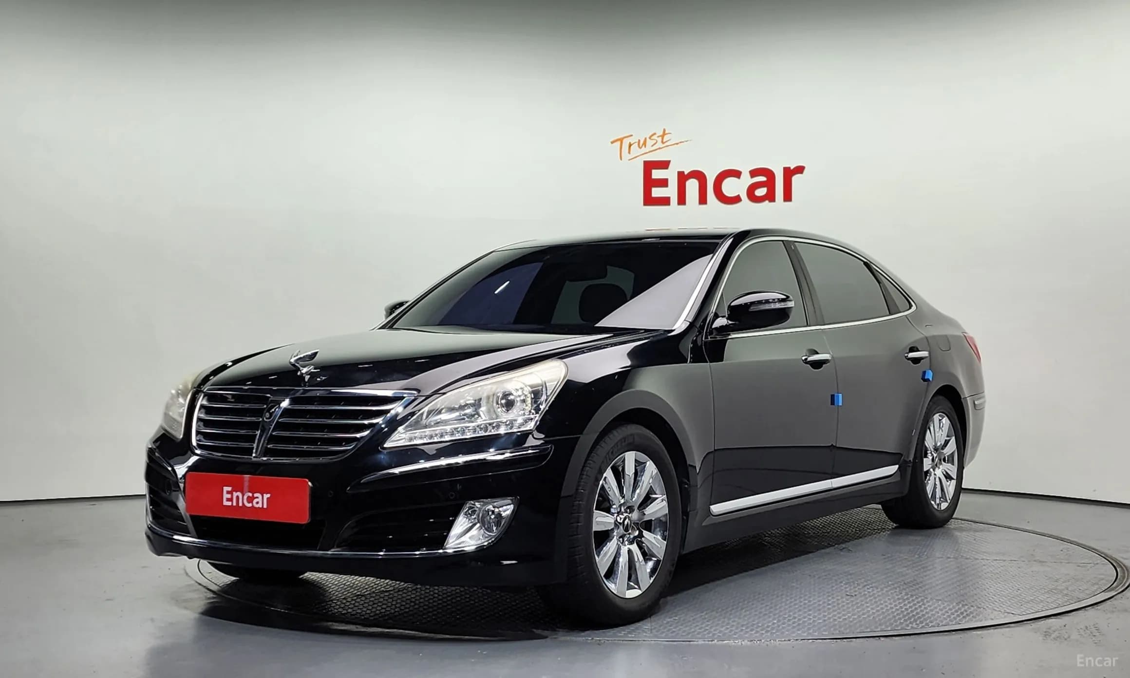 Equus (new)