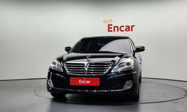 Equus (new)