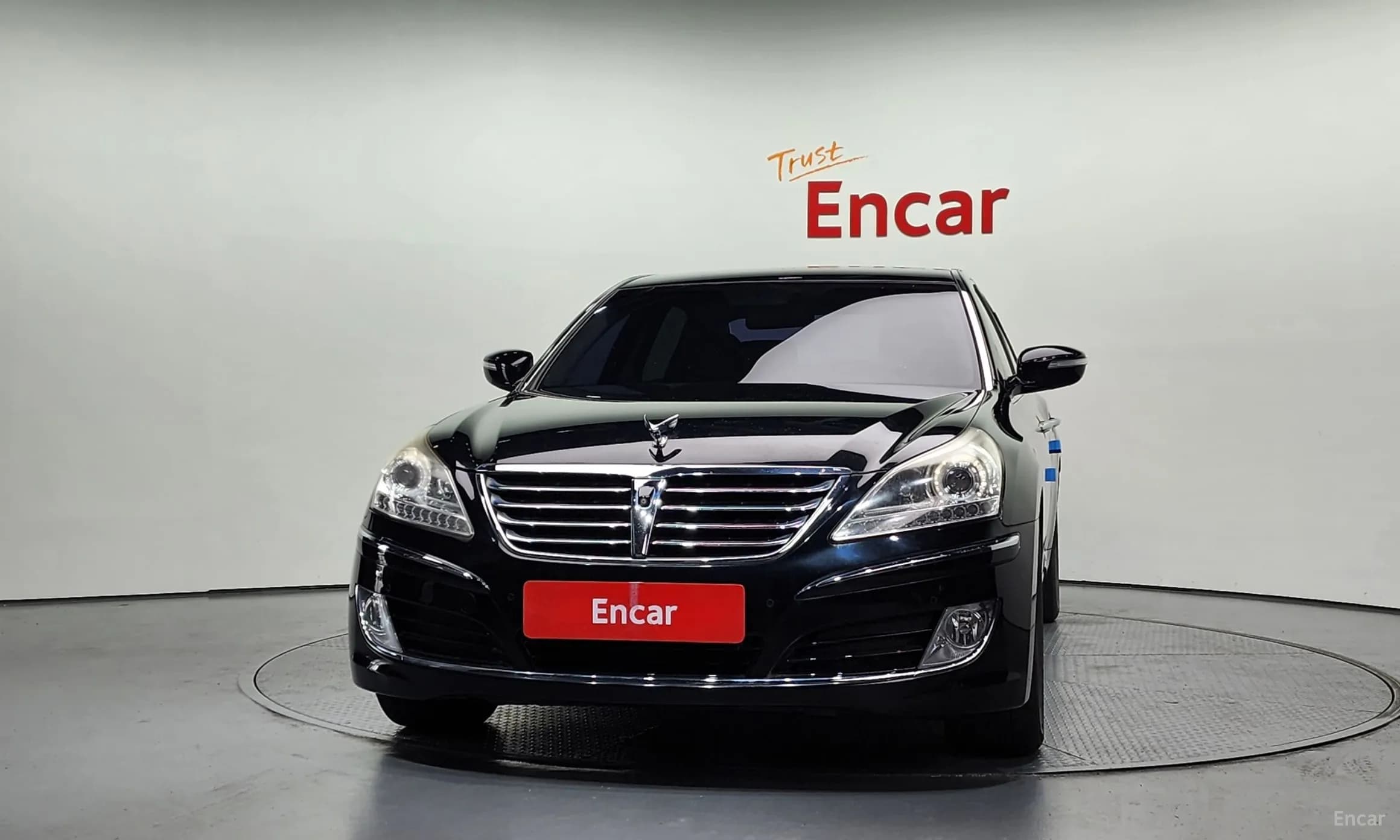 Equus (new)