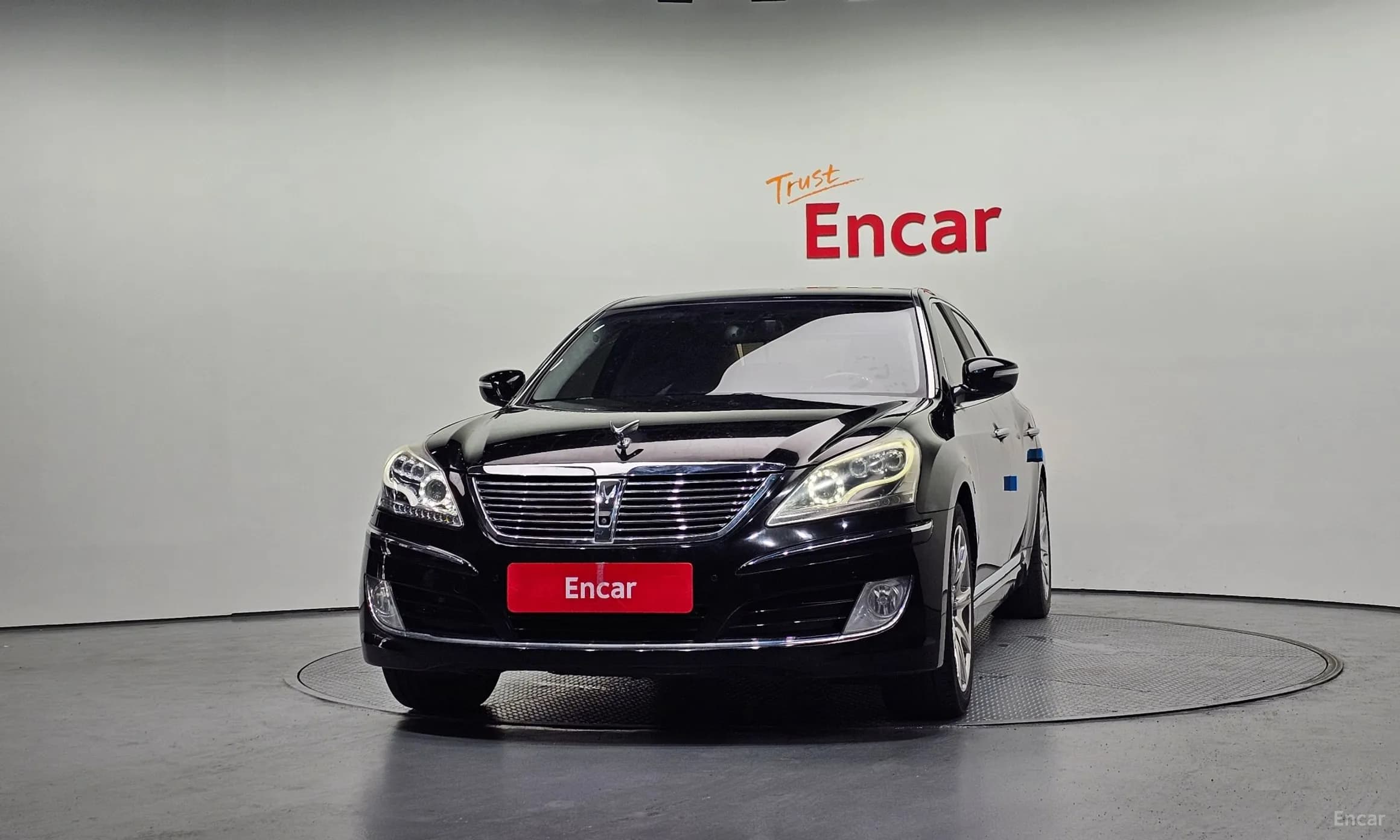 Equus (new)