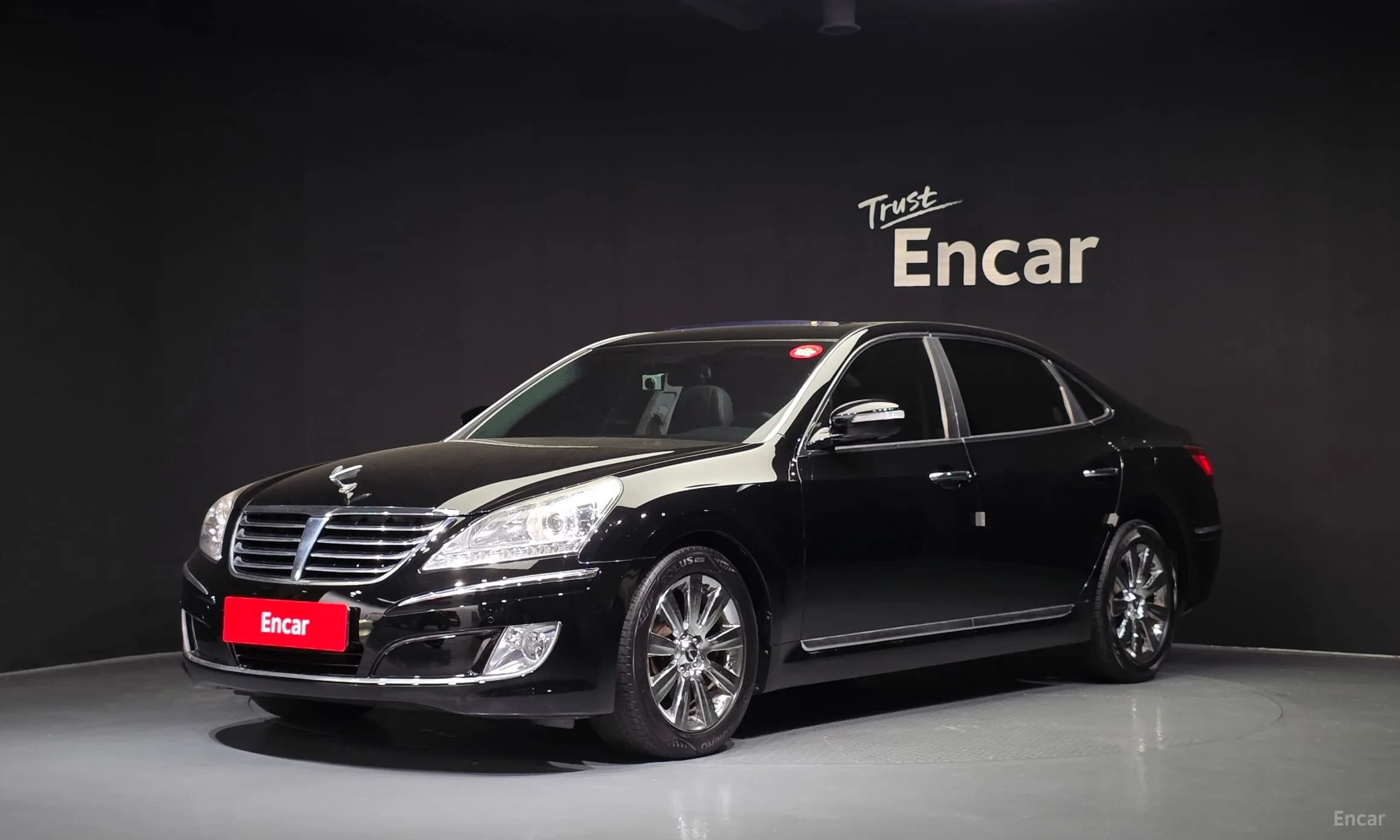 Equus (new)