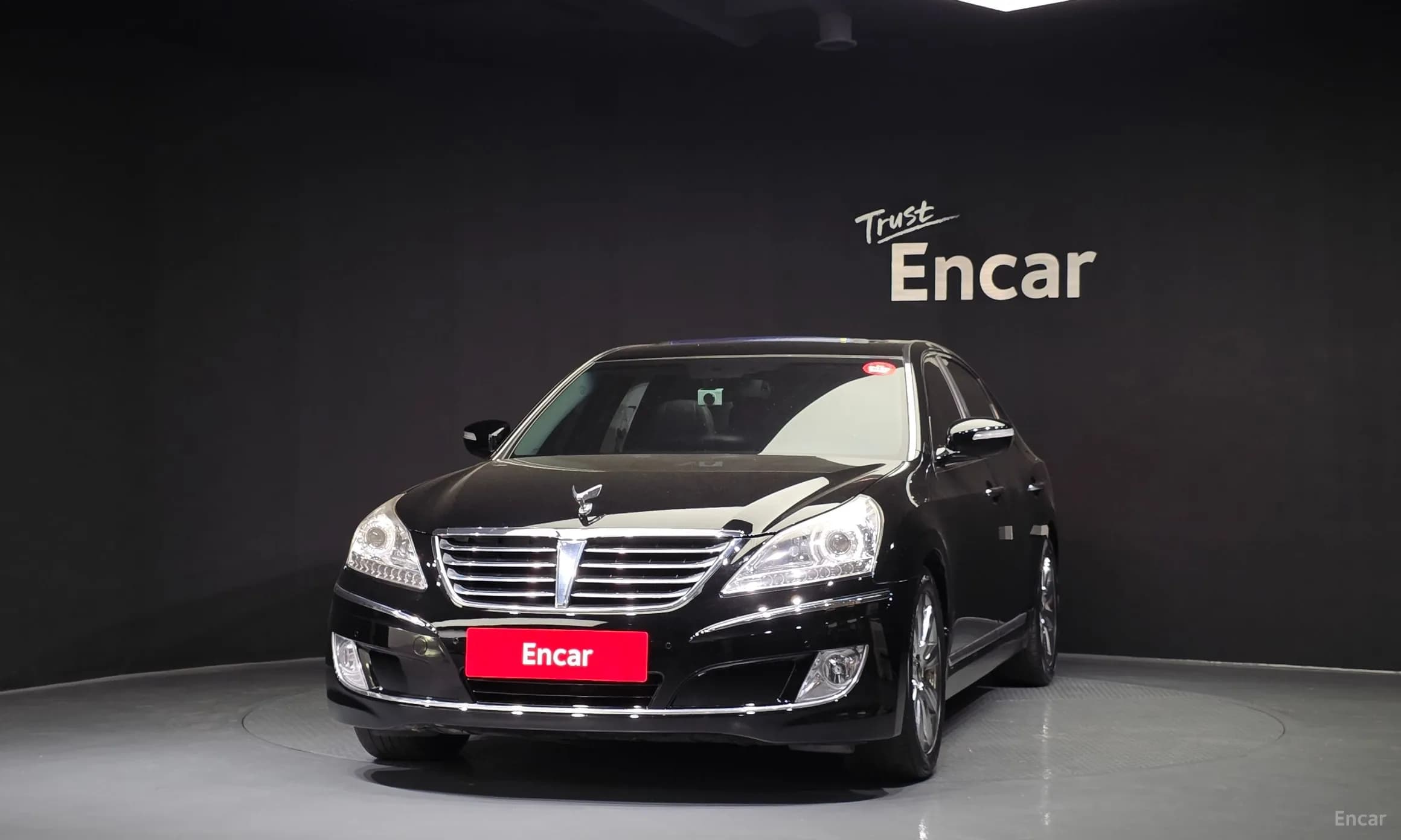 Equus (new)