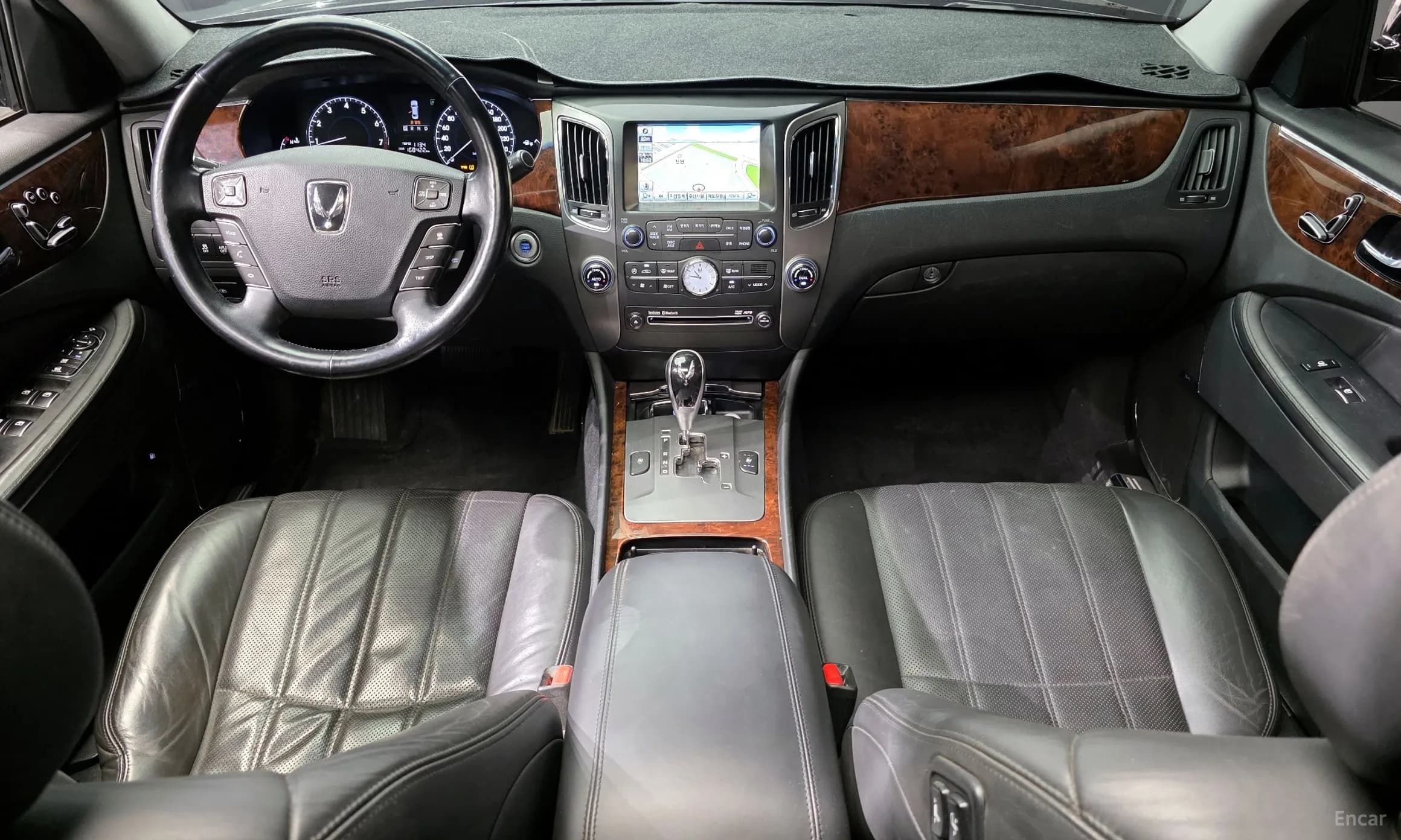 Equus (new)
