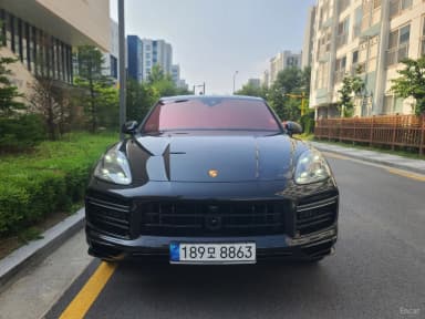 Cayenne (PO536)