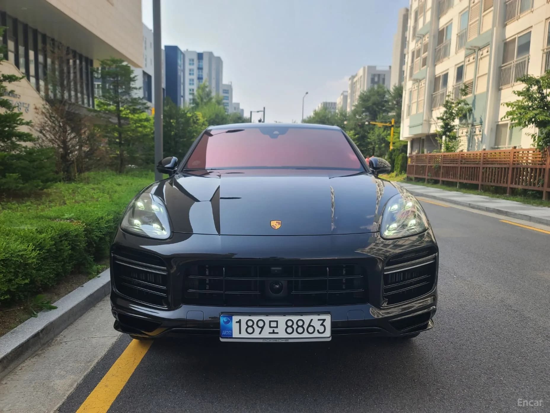 Cayenne (PO536)