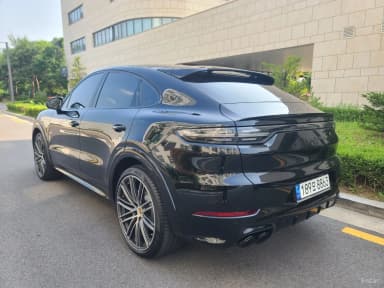 Cayenne (PO536)