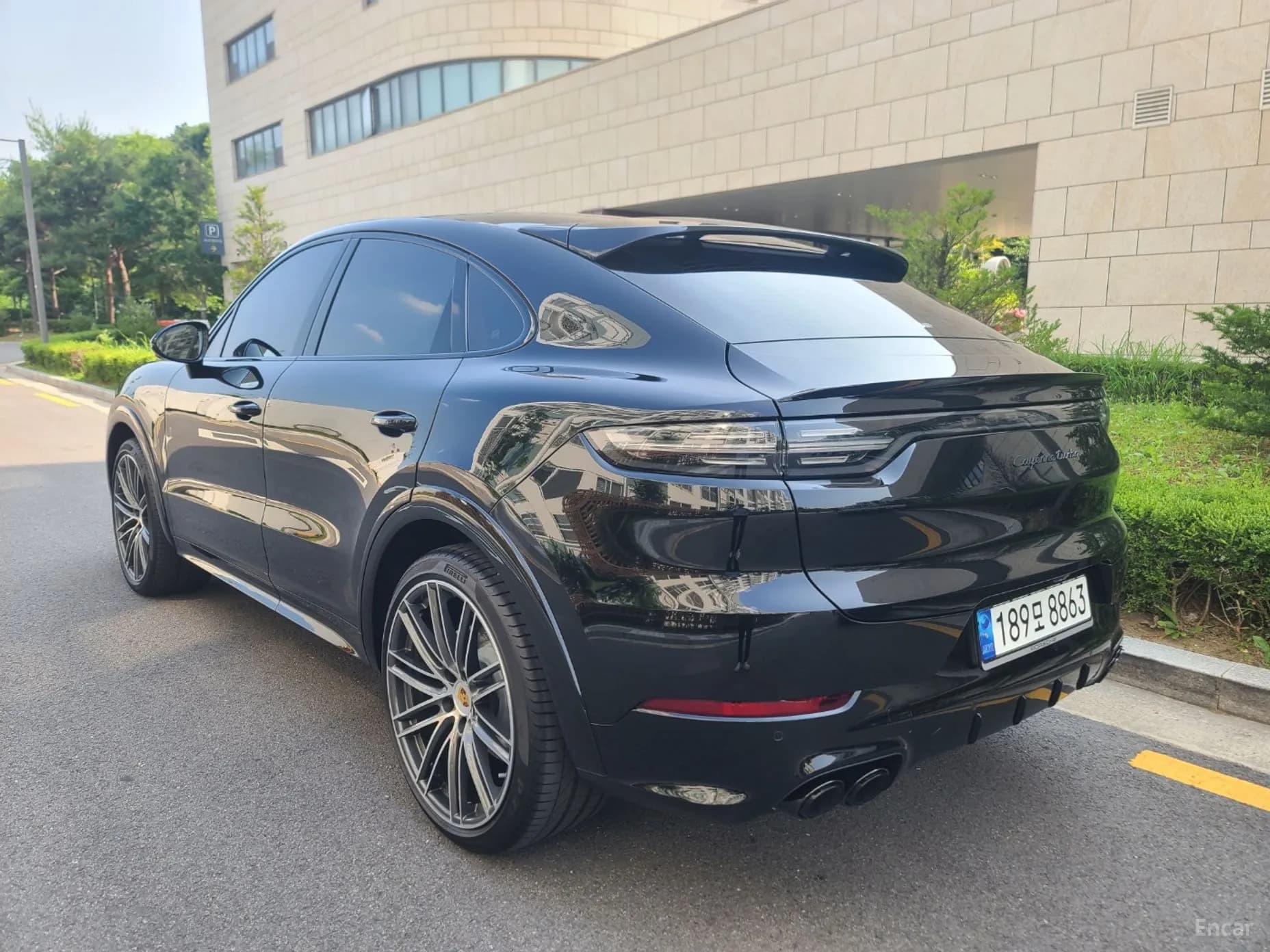 Cayenne (PO536)