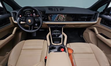 Cayenne (PO536)