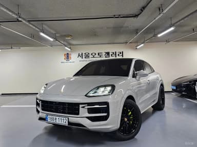 Cayenne (PO536)