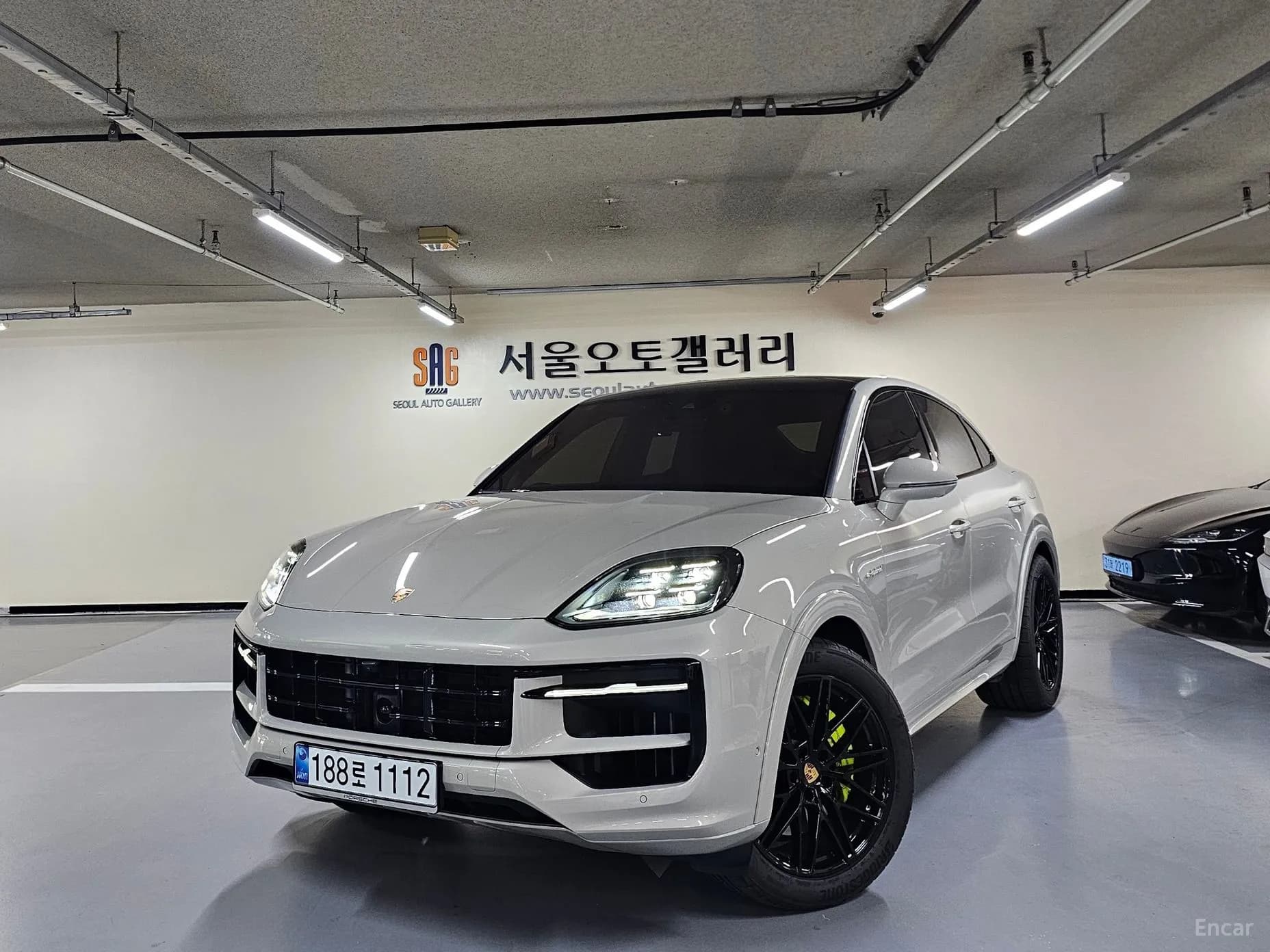 Cayenne (PO536)