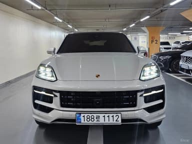 Cayenne (PO536)