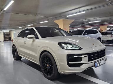 Cayenne (PO536)