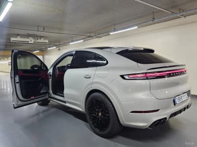 Cayenne (PO536)