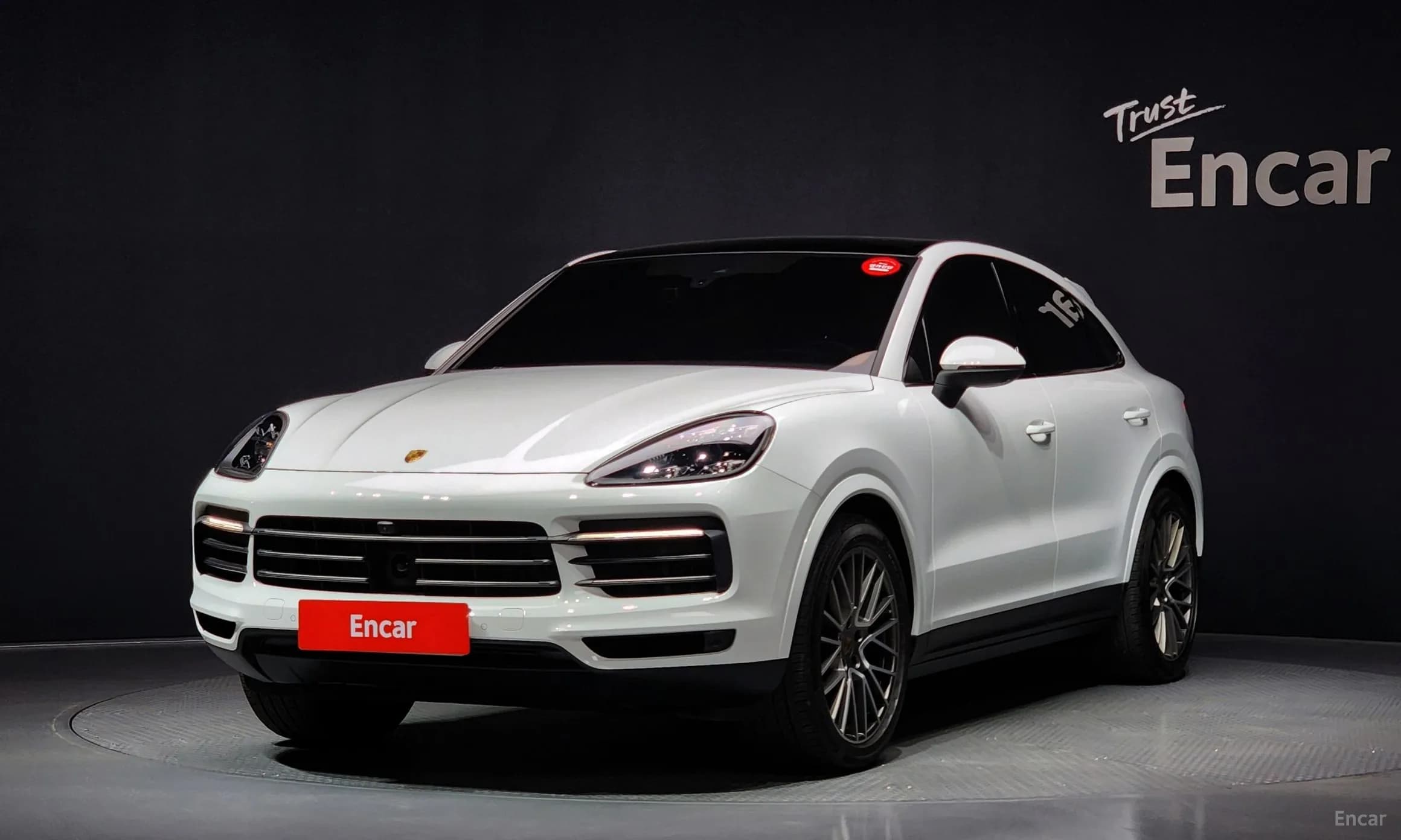 Cayenne (PO536)
