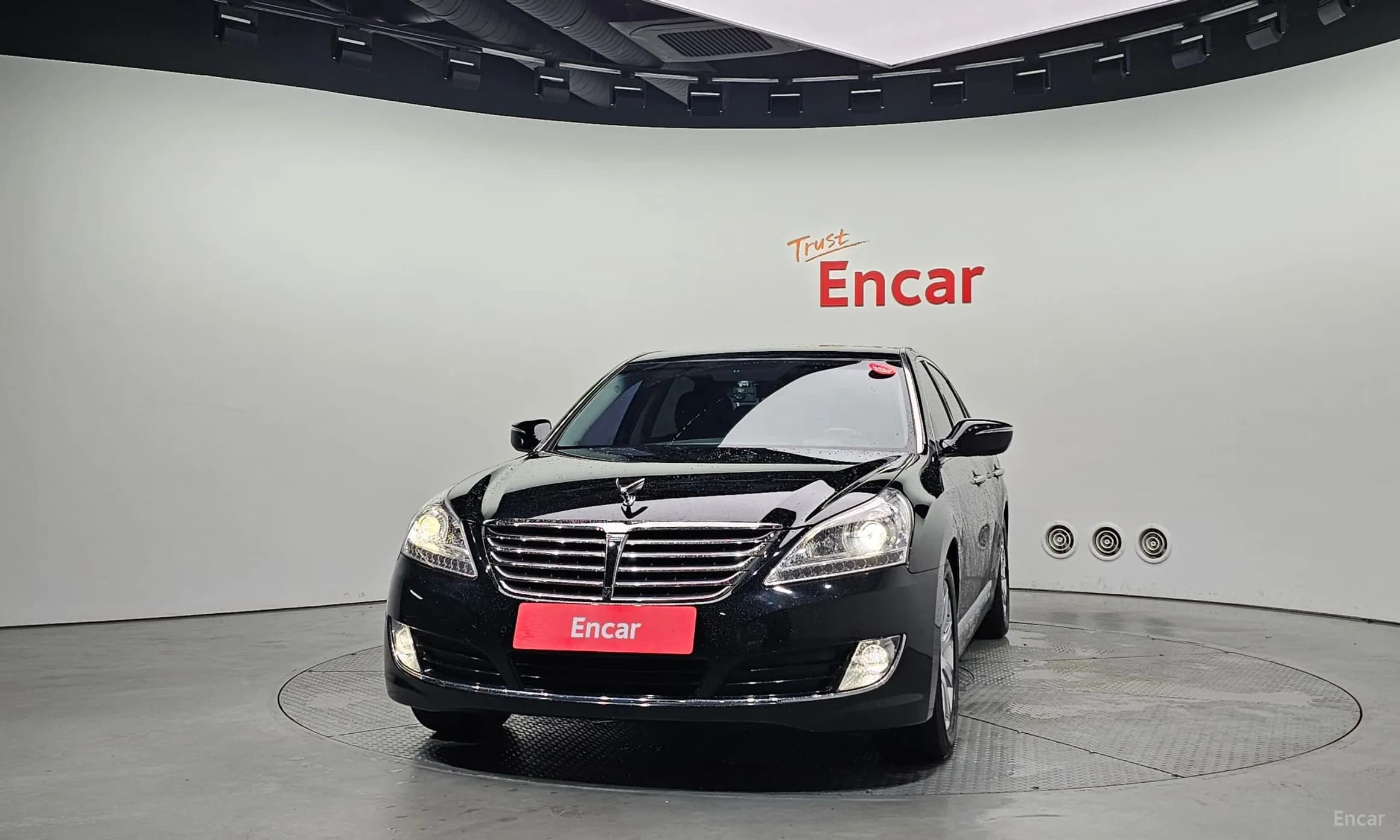 Equus (new)