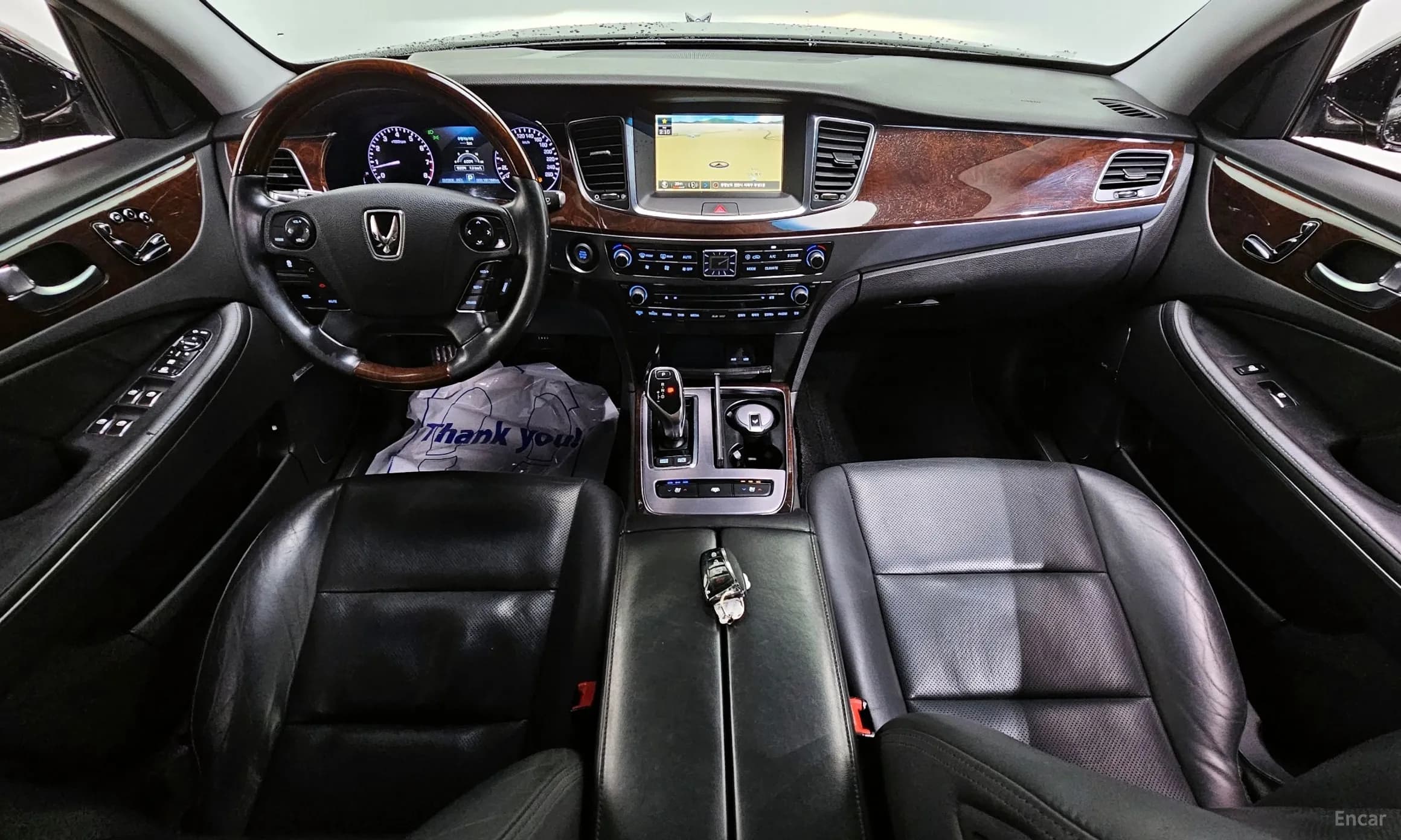 Equus (new)