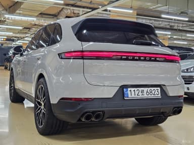 Cayenne (PO536)