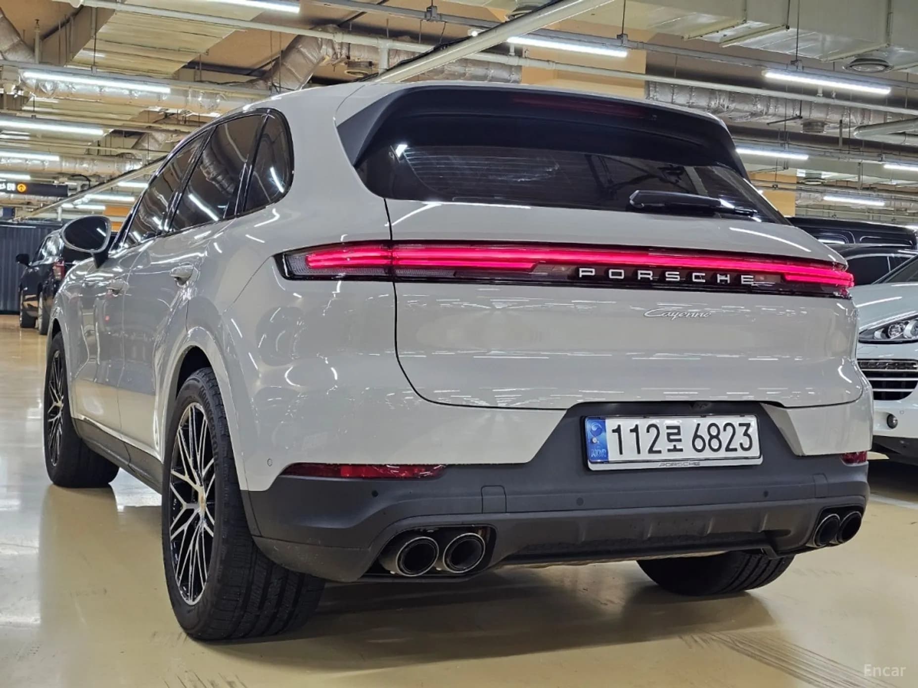 Cayenne (PO536)