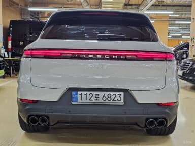 Cayenne (PO536)