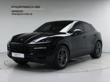 Cayenne (PO536)