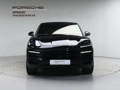 Cayenne (PO536)
