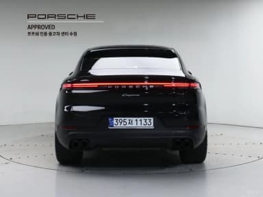 Cayenne (PO536)