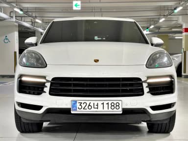 Cayenne (PO536)