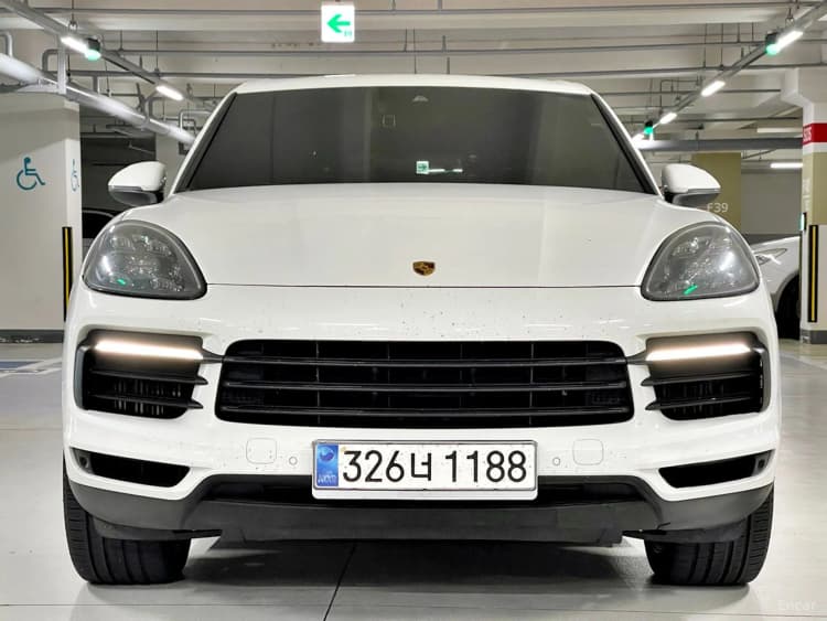 Cayenne (PO536)