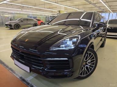 Cayenne (PO536)