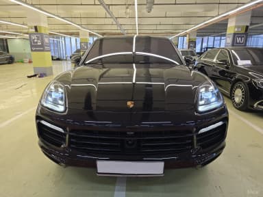 Cayenne (PO536)
