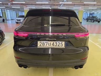 Cayenne (PO536)