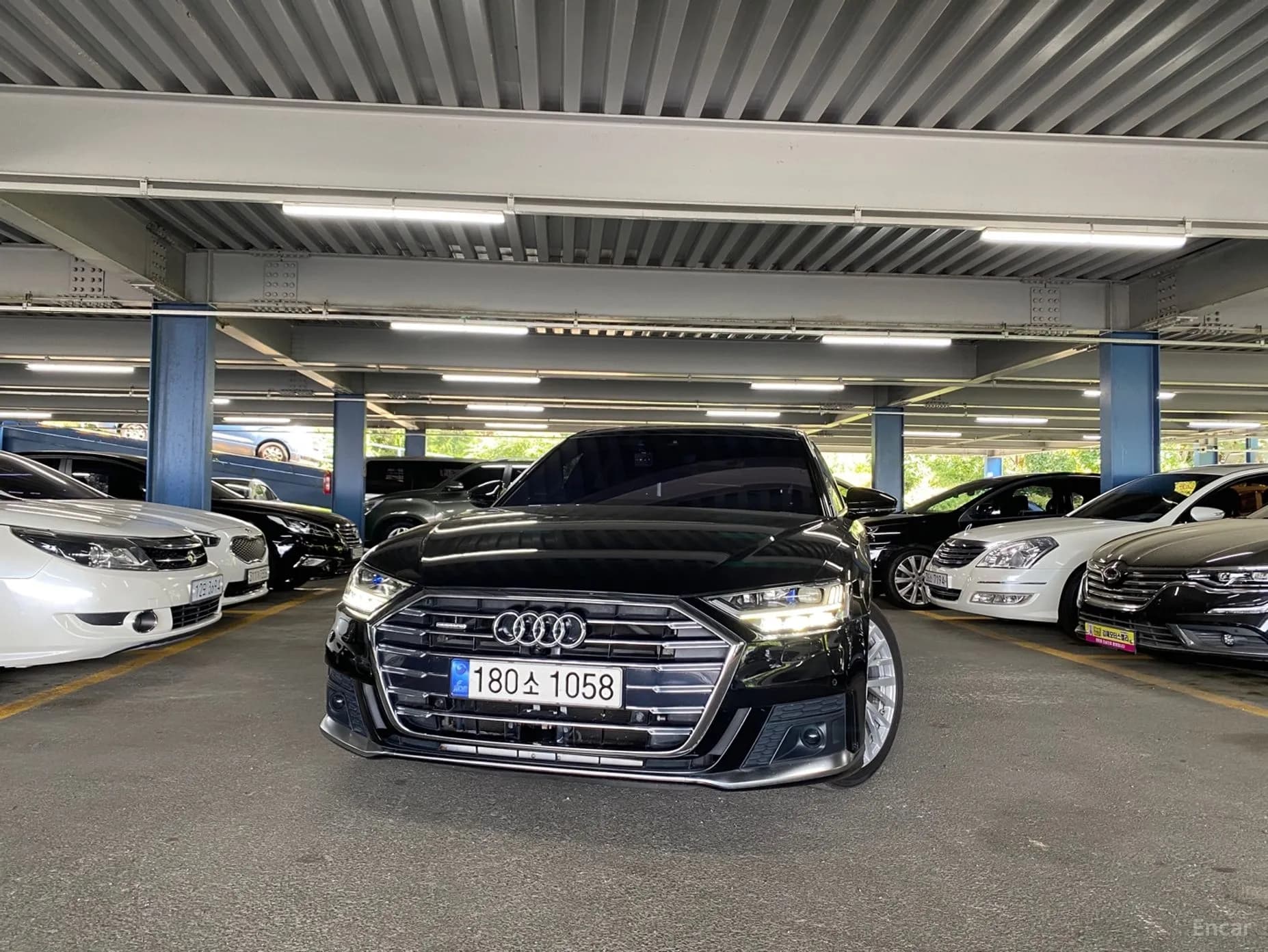 A8 (D5)