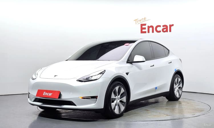 Model Y